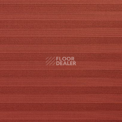 Ковролин Carpet Concept Sqr Basic Stripe 5 Terra фото 1 | FLOORDEALER